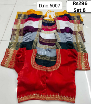 Women Blouse / Choli