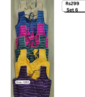 Women Blouse / Choli