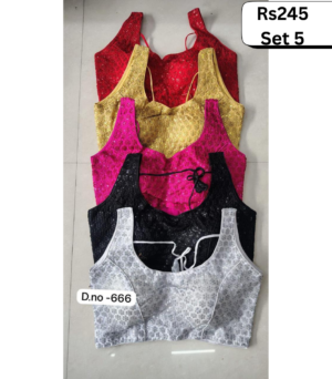 Women Blouse / Choli